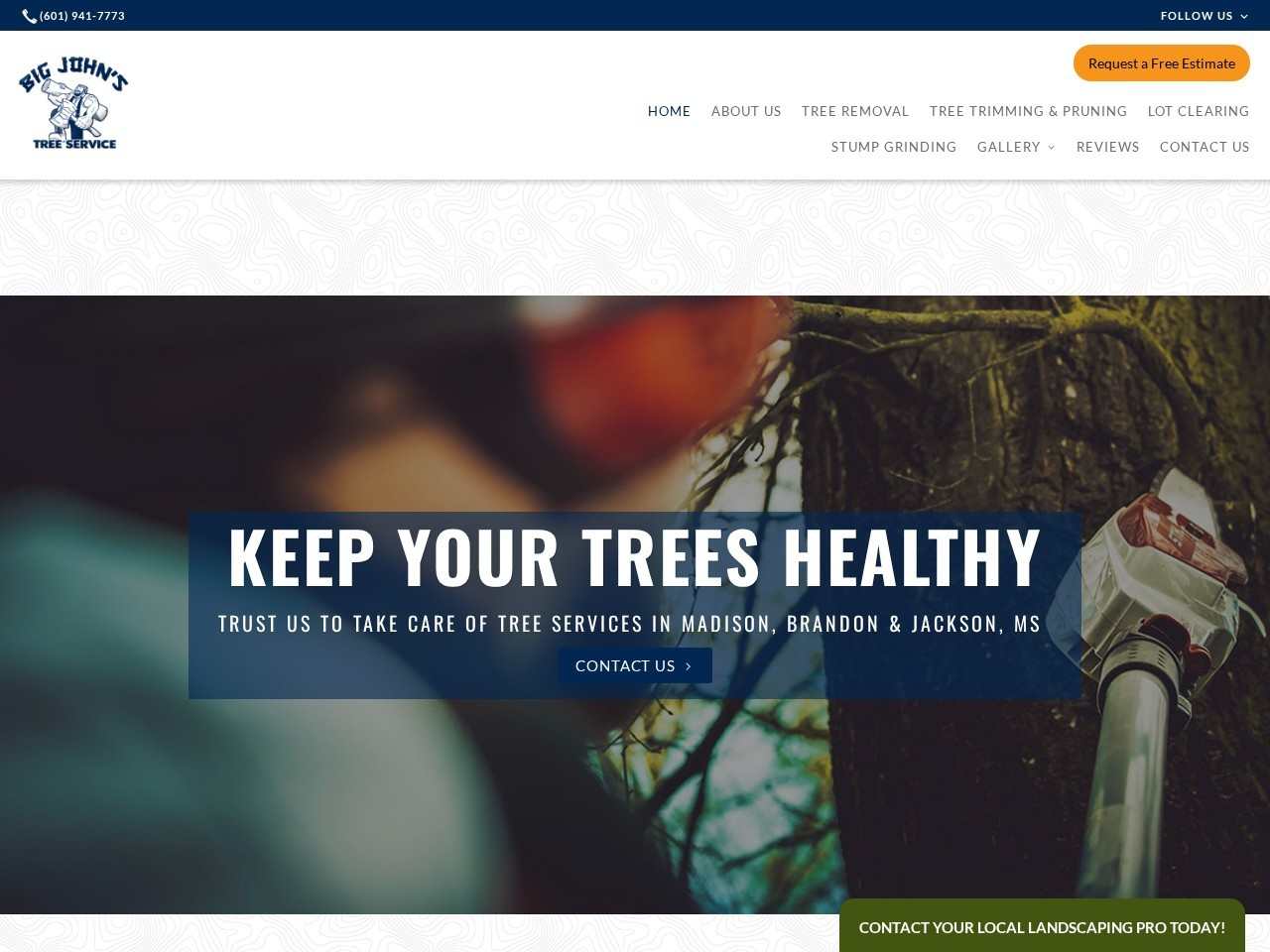 Big John's Tree Service homepage, tree service in Madison, Brandon and Jackson, MS
